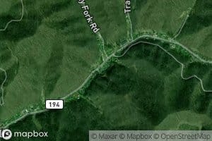 Honey Fork
