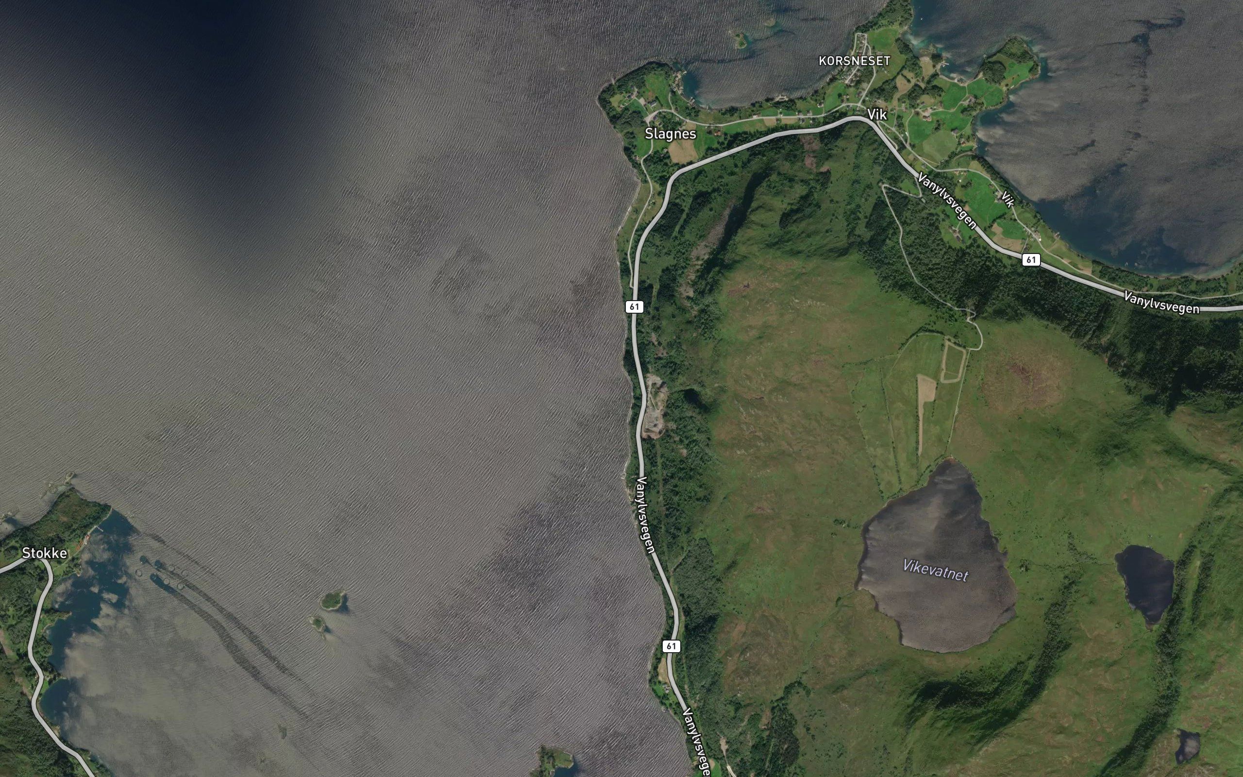 Svoringevika