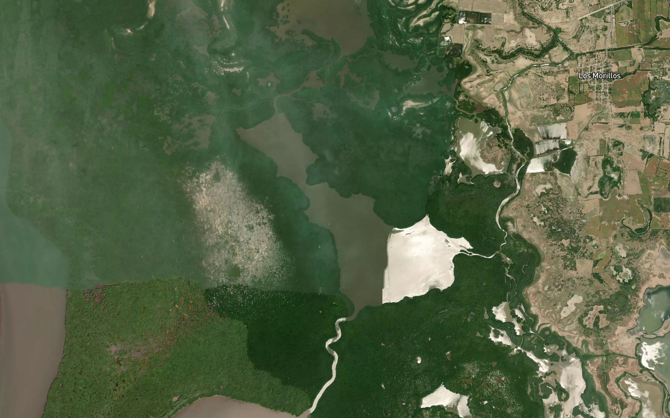 Estero Chiquero de los Puercos