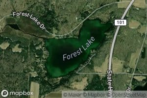 Forest Lake