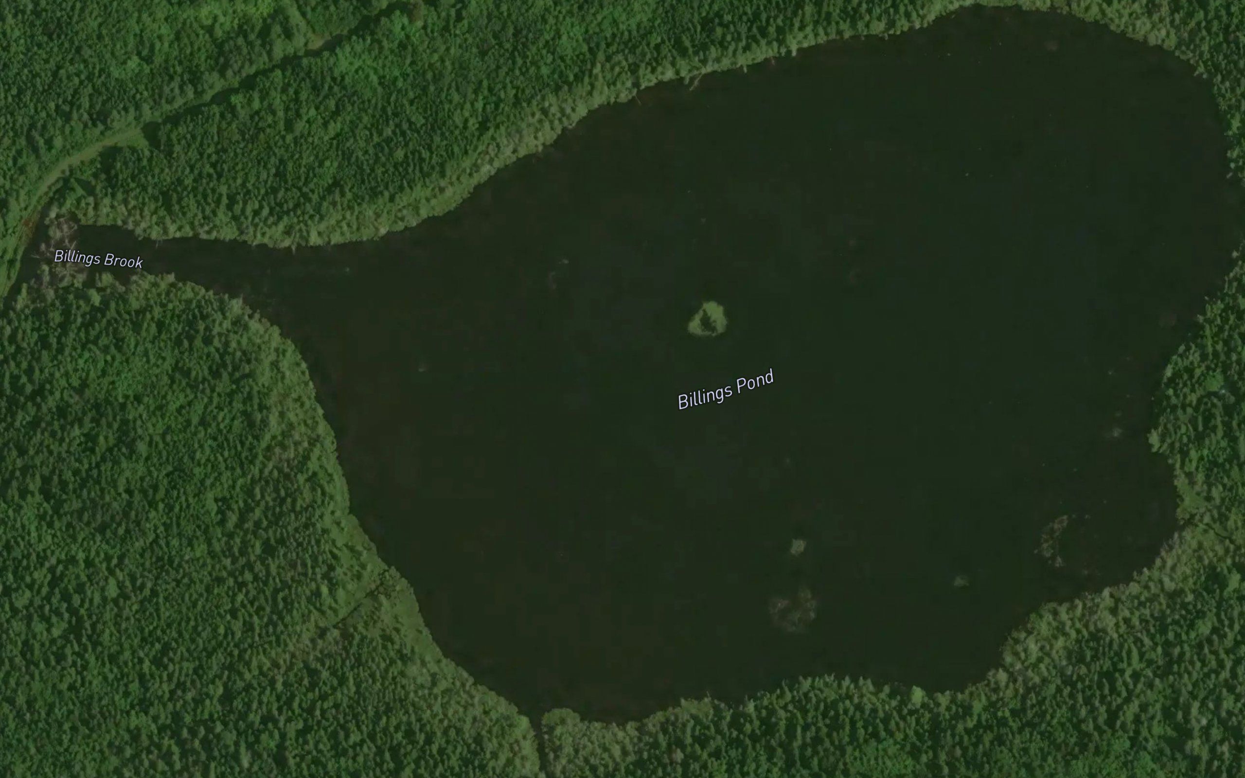 Billings Pond