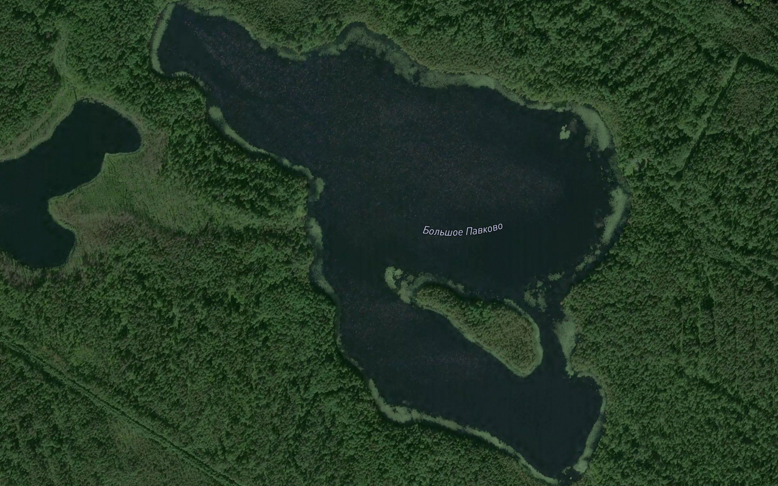 Ozero Bol'shoye Pavkovo