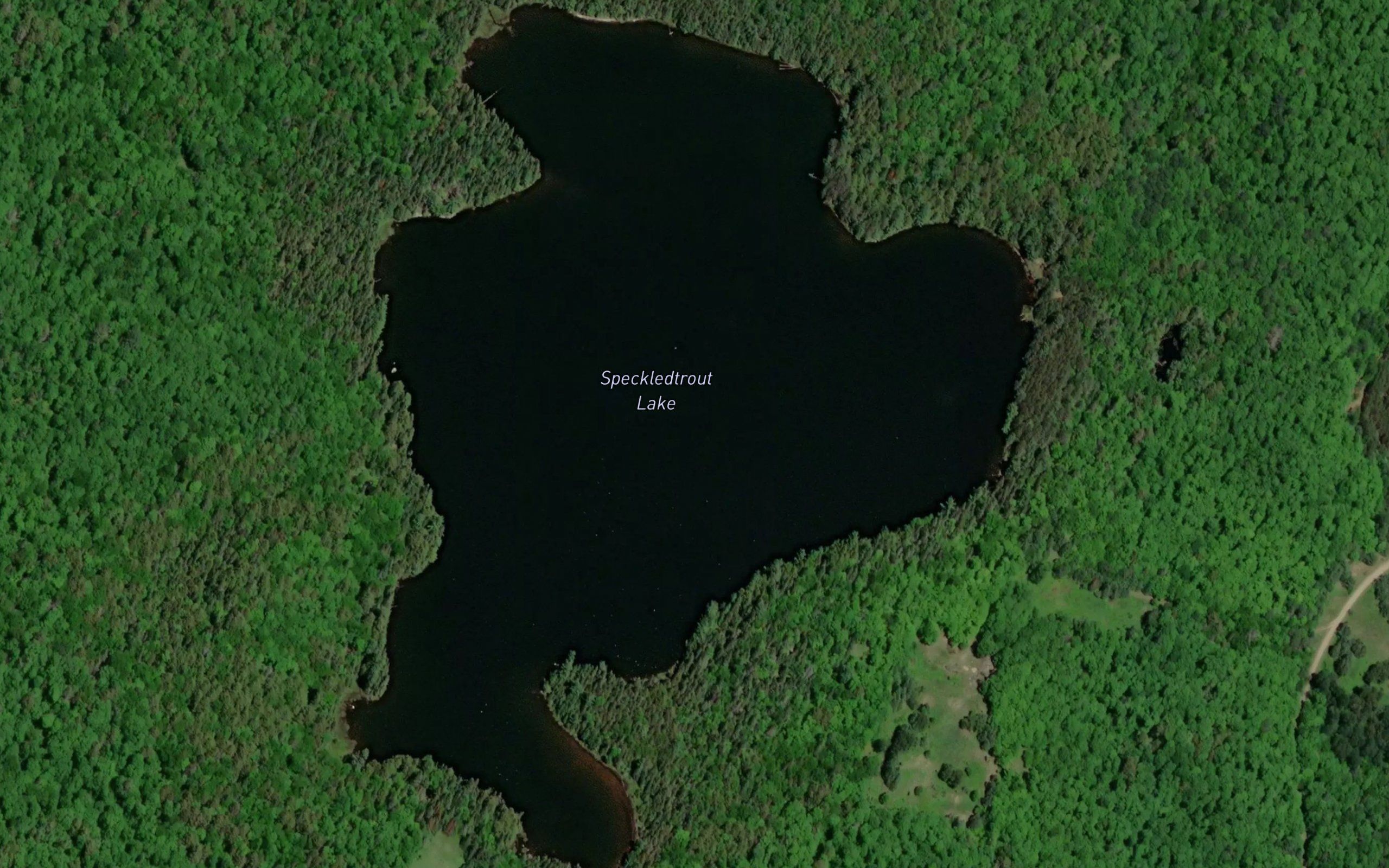 Speckledtrout Lake