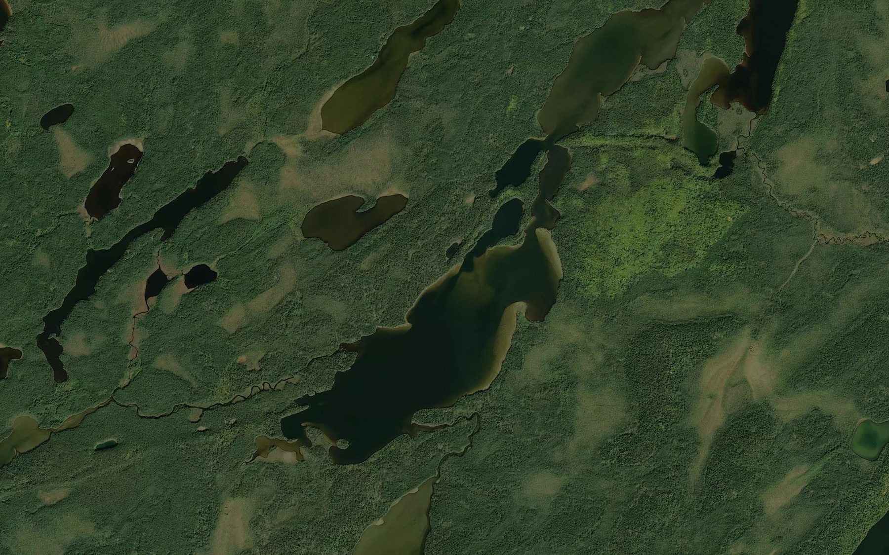 Satellite map of the Whitmore Creek
