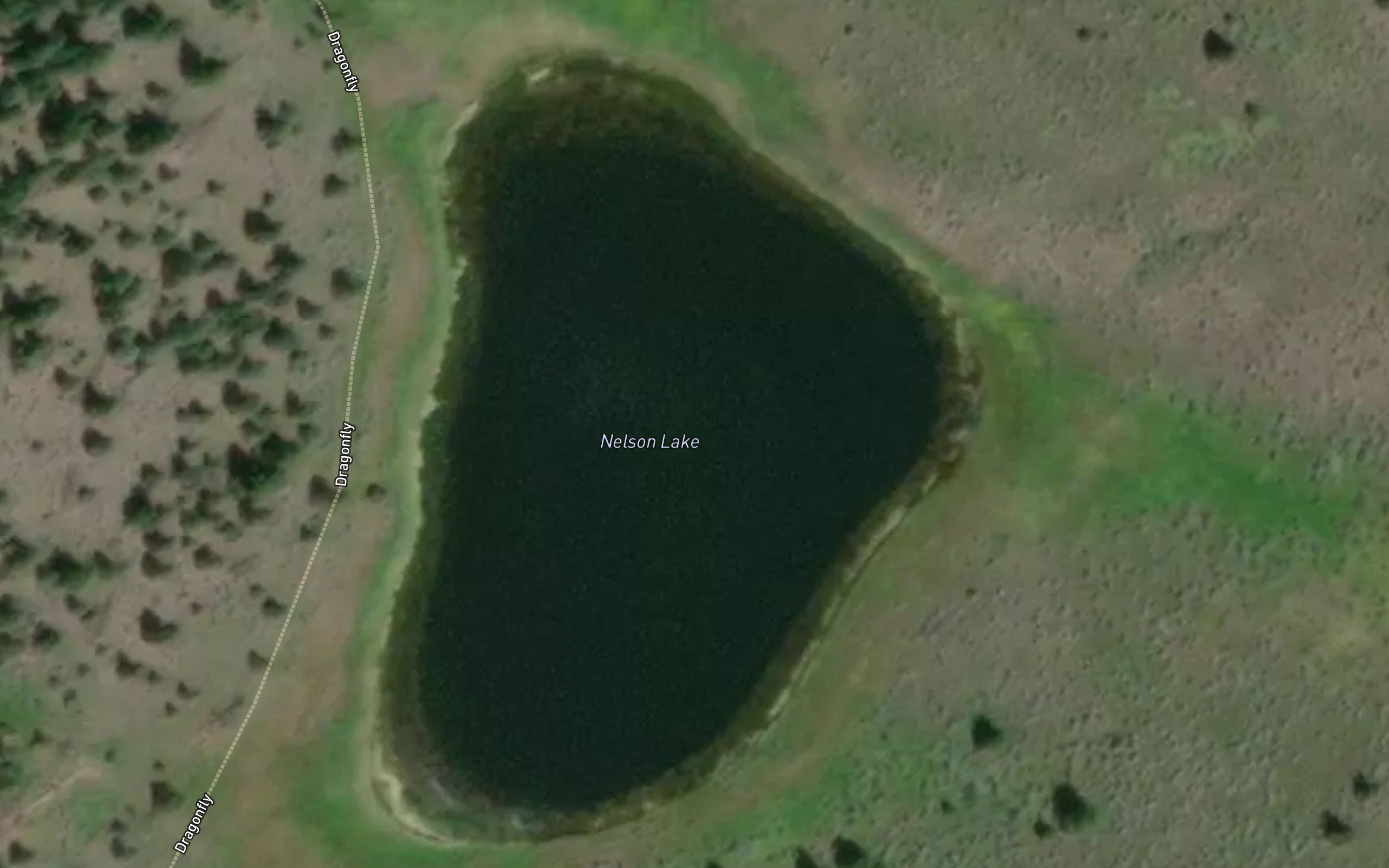 Nelson Lake
