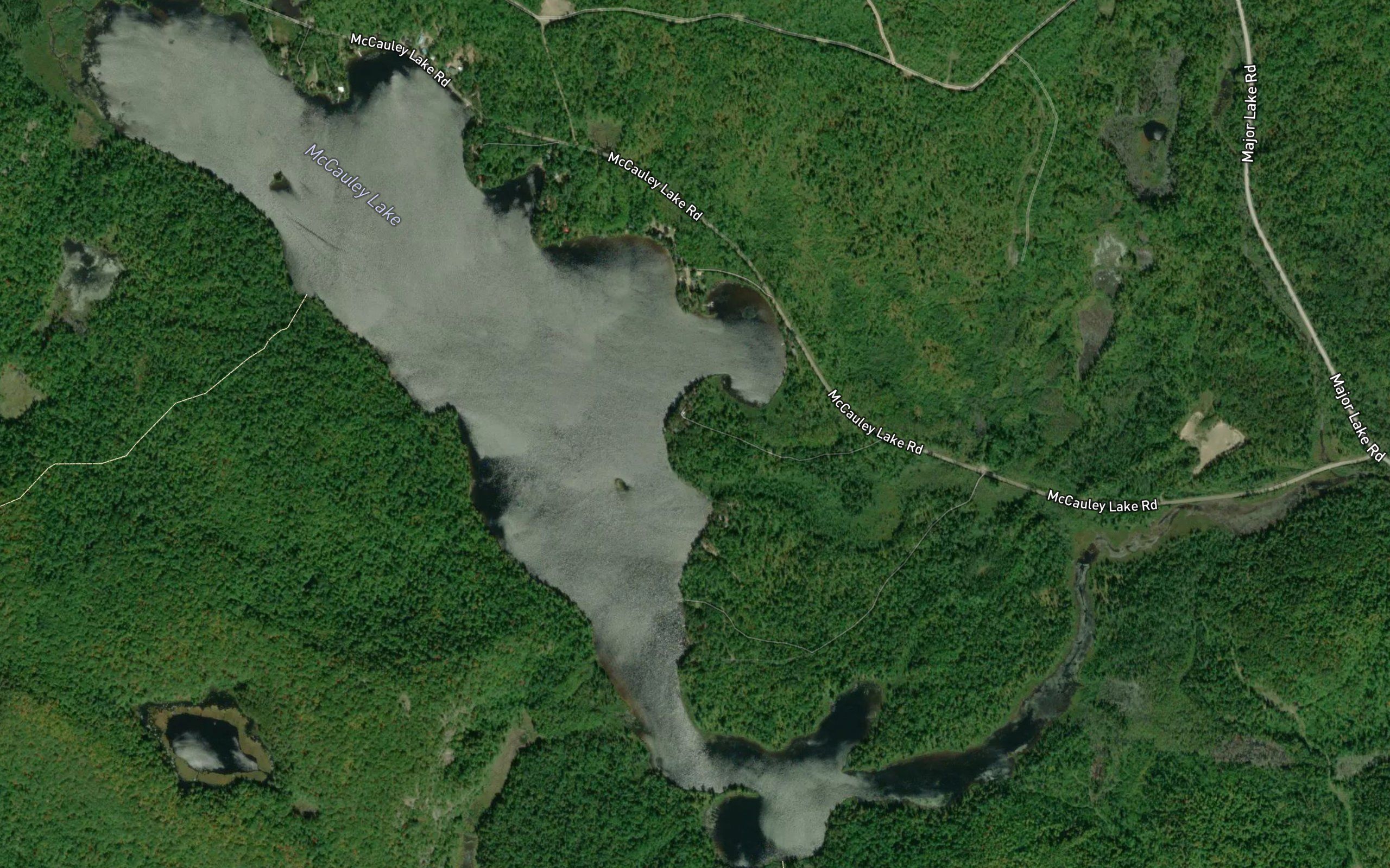 McCauley Lake