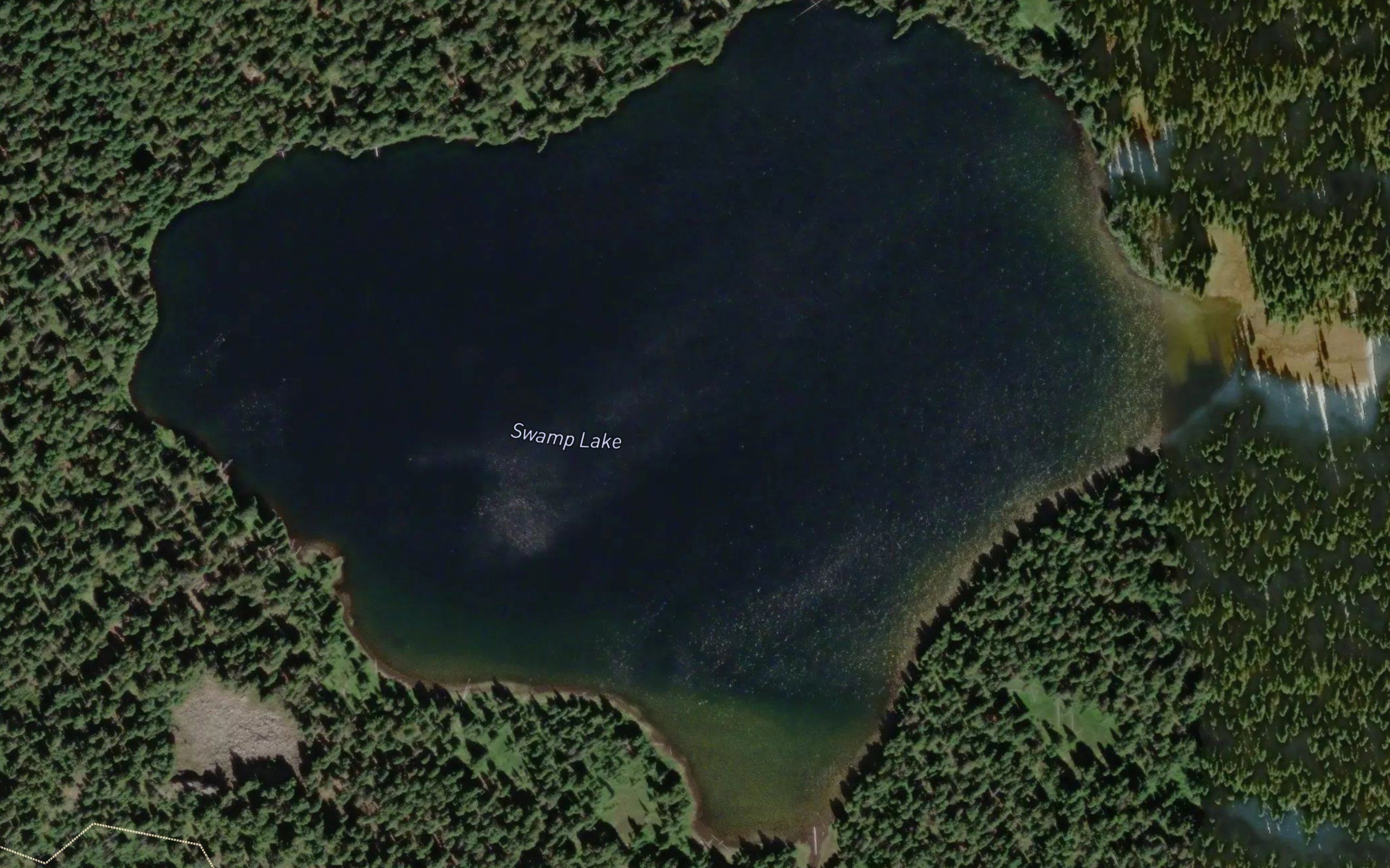 Swamp Lake