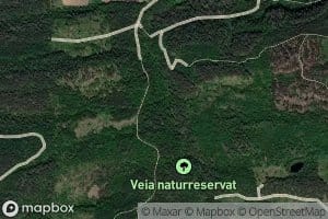 Veia