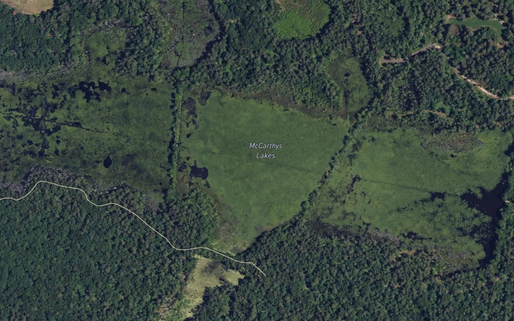 Satellite map of the McCarthys Lakes