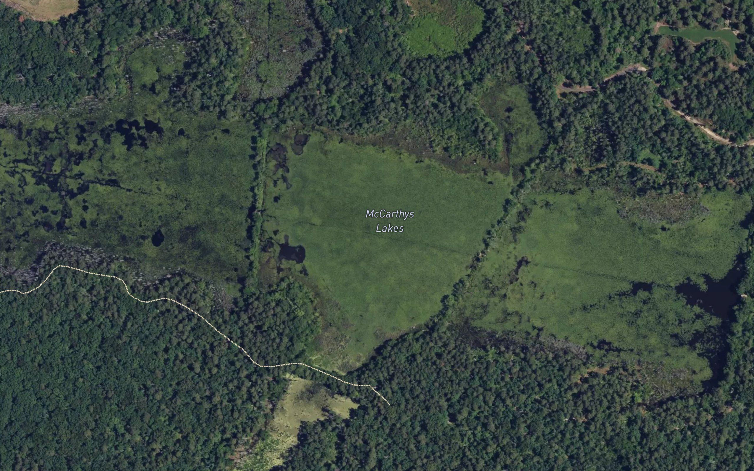 McCarthys Lakes