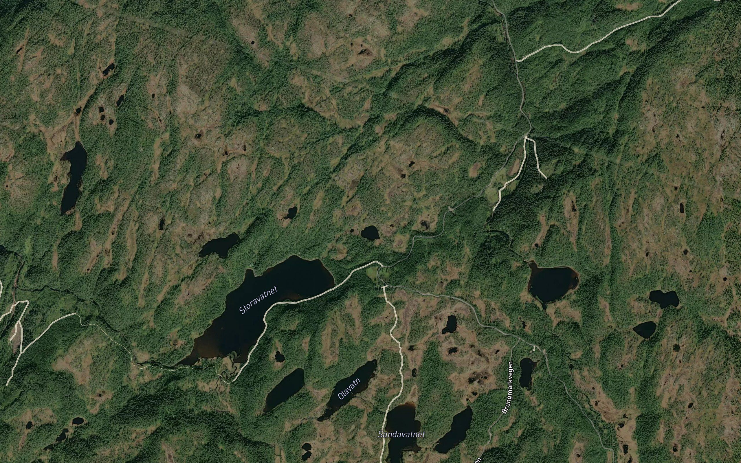 Vertjonna