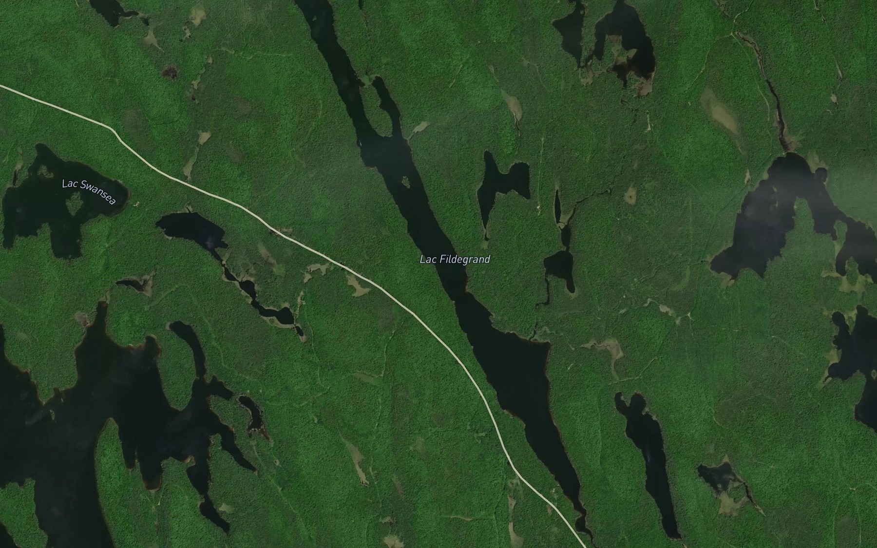 Satellite map of the Lac a la Carabine