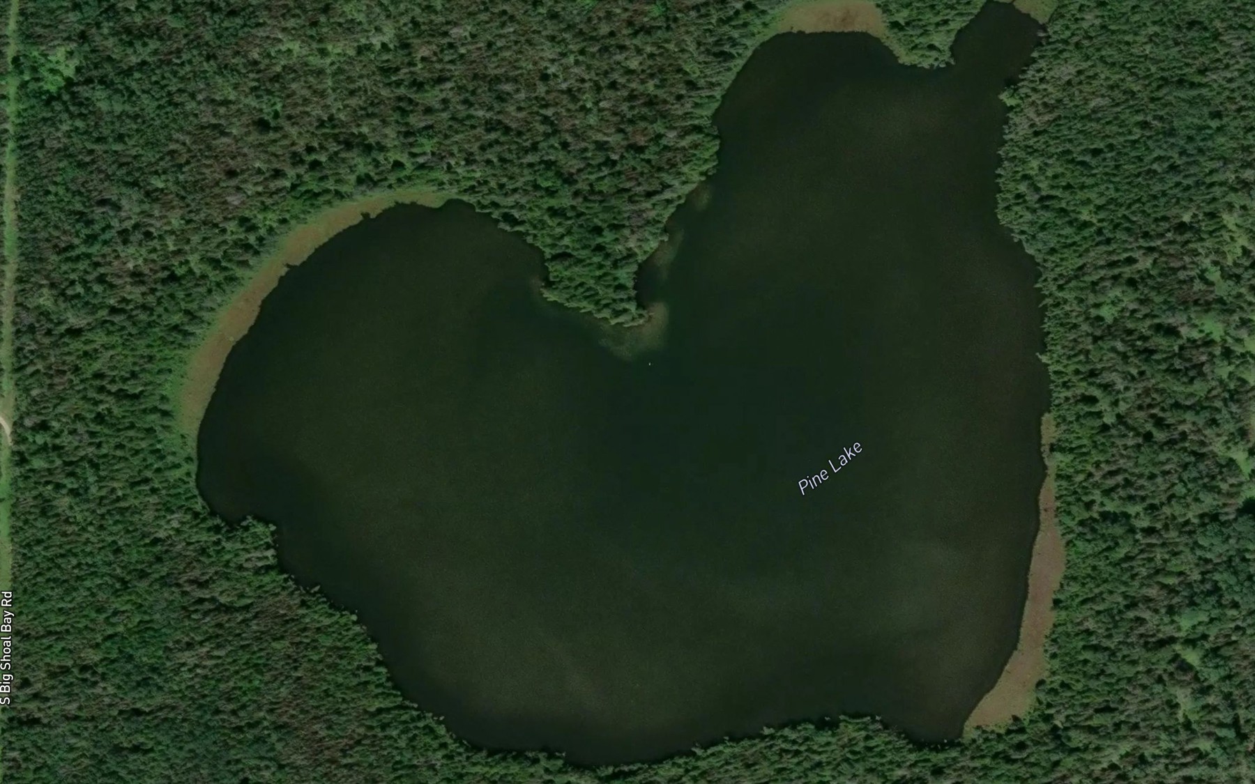 Satellite map of the Pine Lake