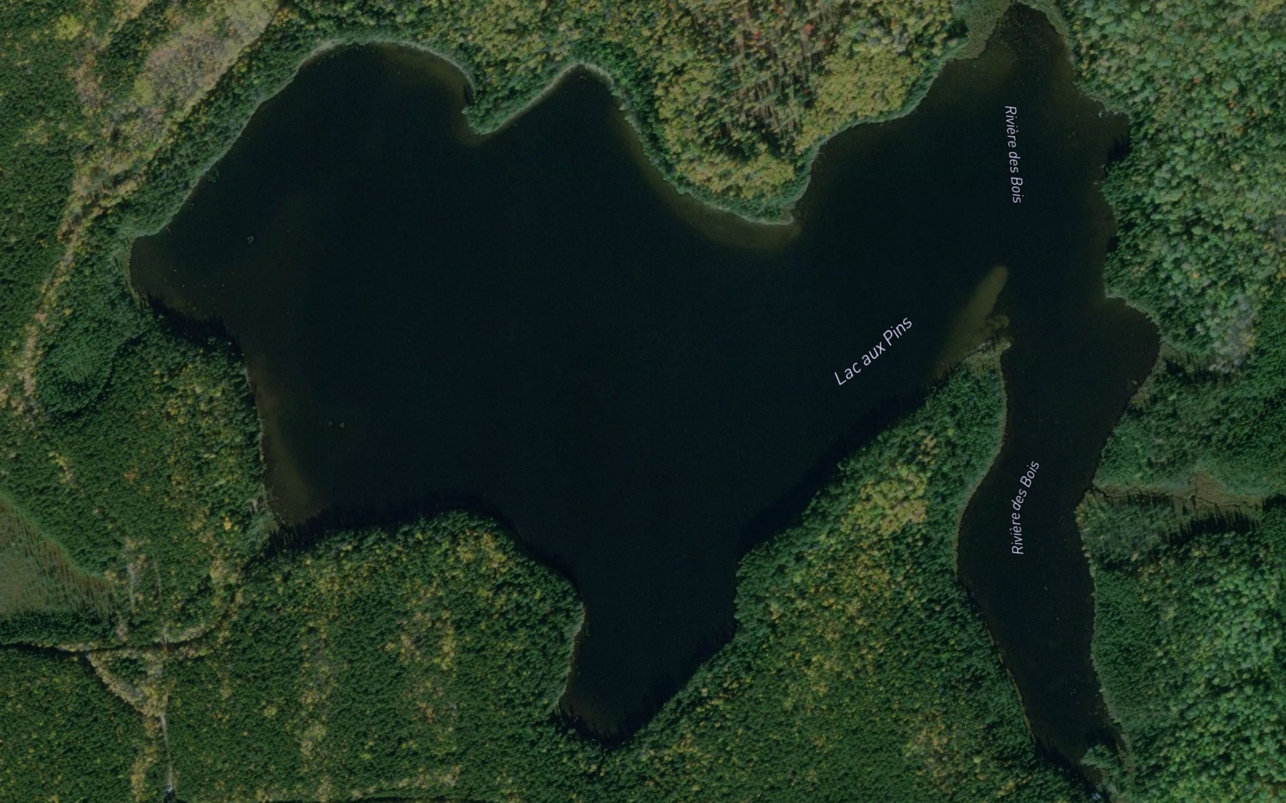 Satellite map of the Lac aux Pins