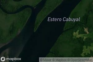 Estero Cabuyal