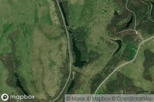 Consolidation Coal Company Pond 0107-