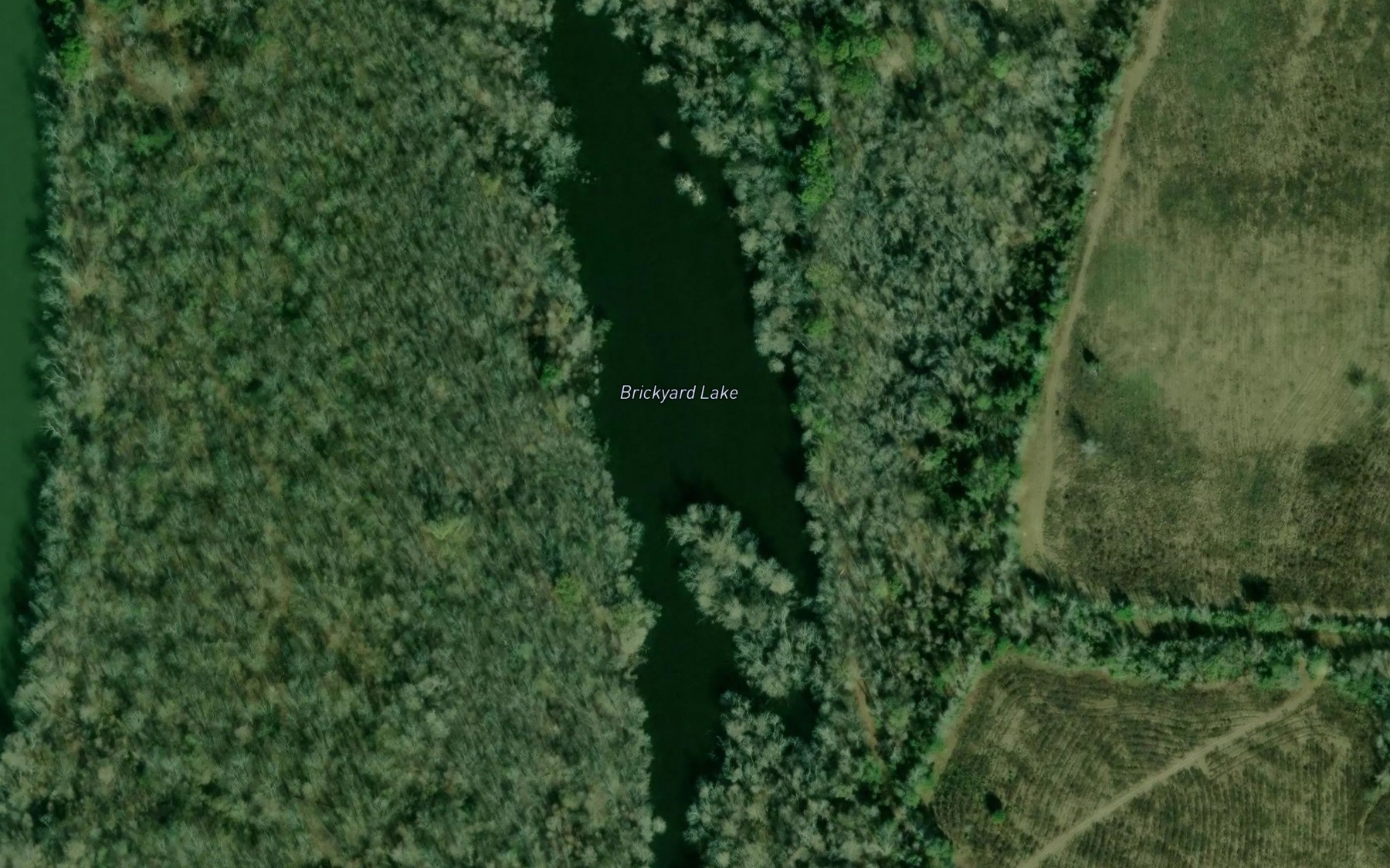 Satellite map of the Brickyard Lake