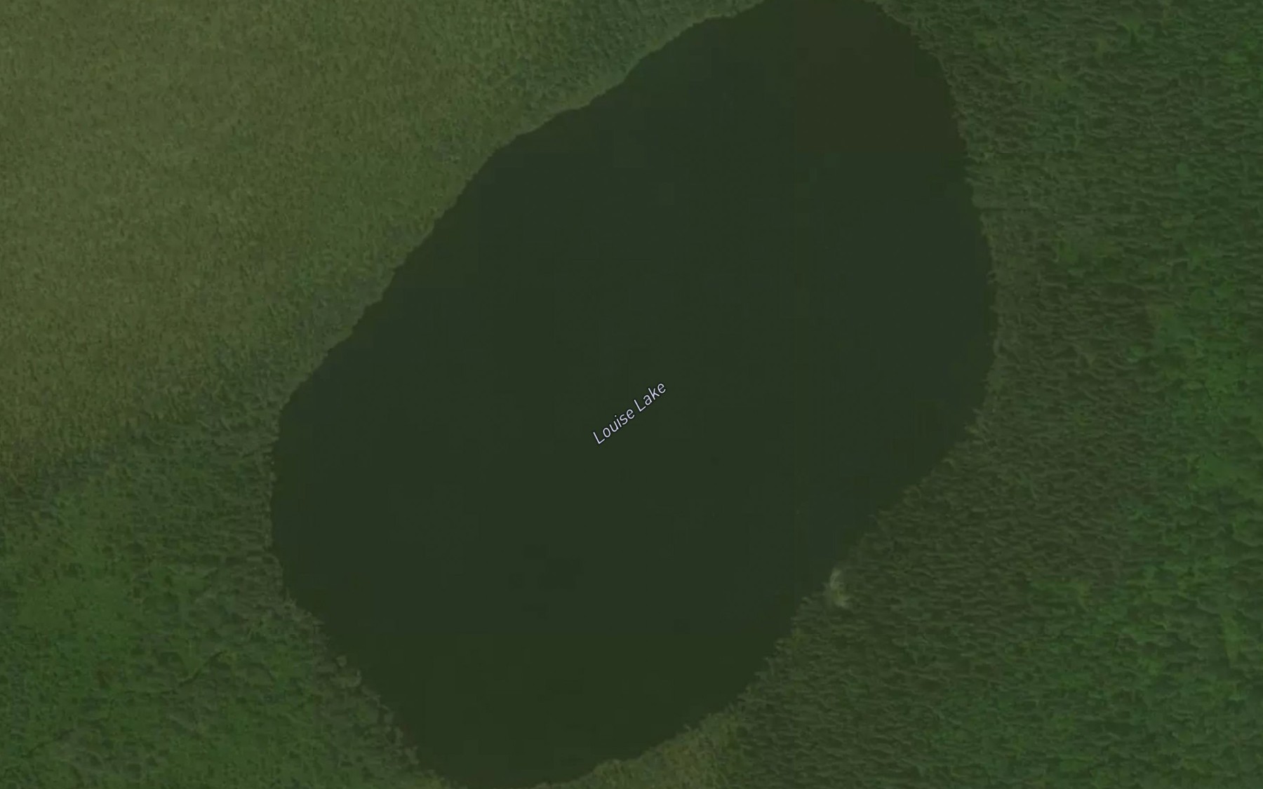 Satellite map of the Louise Lake