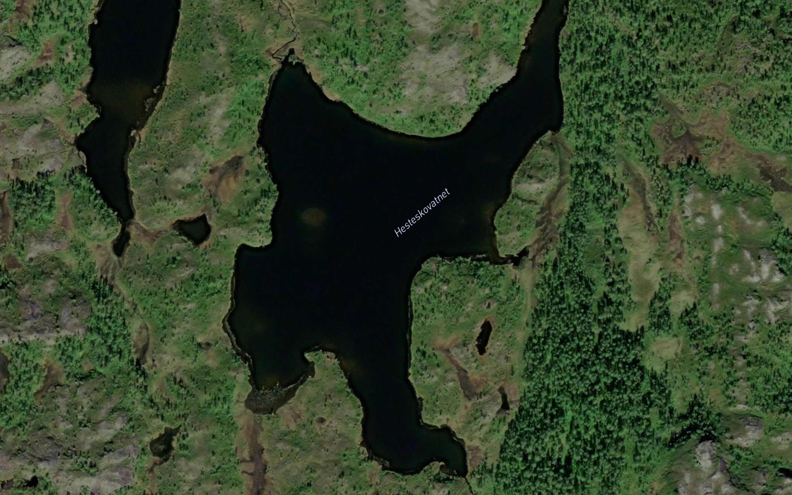 Hesteskovatnet