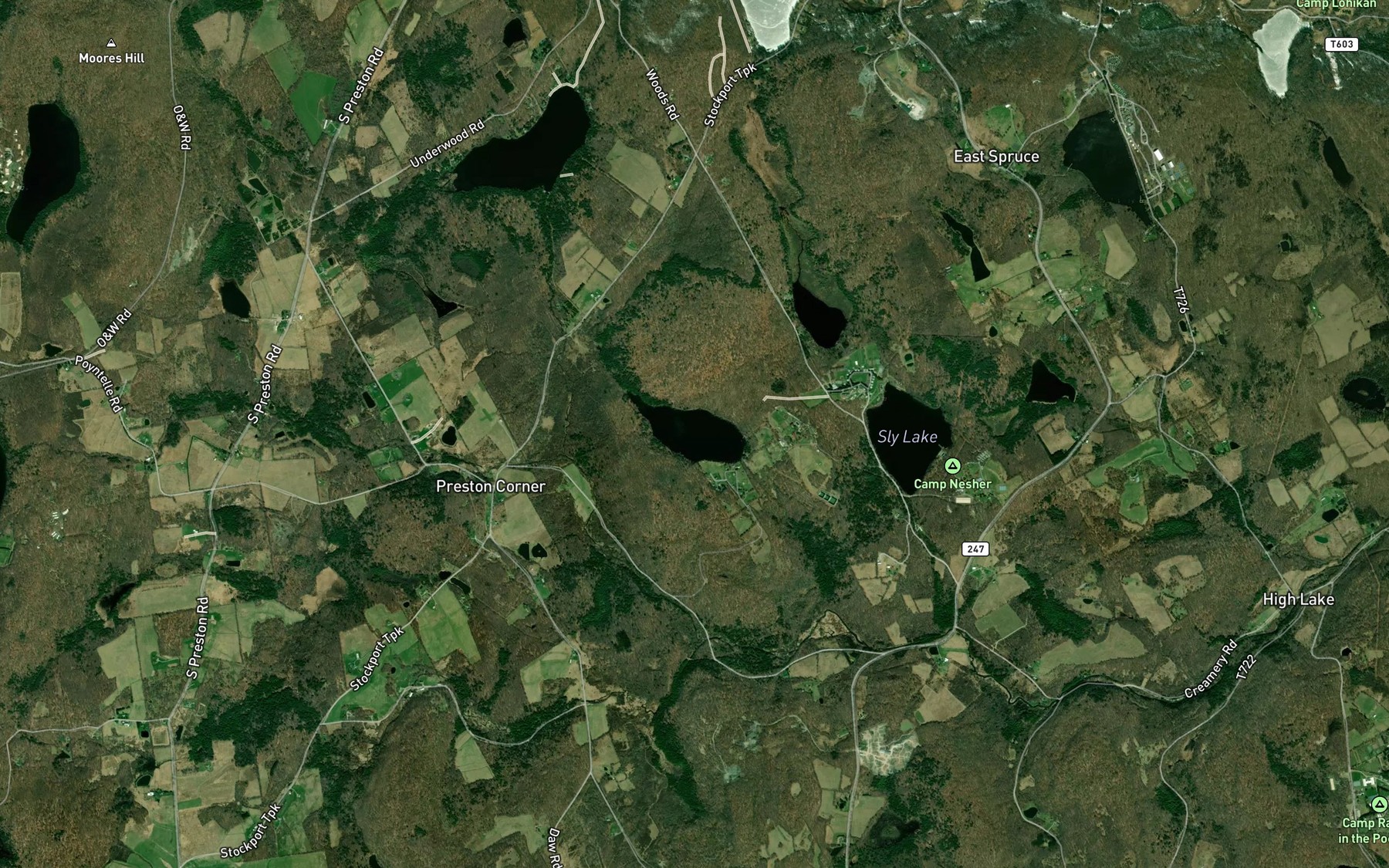 Satellite map of the Long Pond
