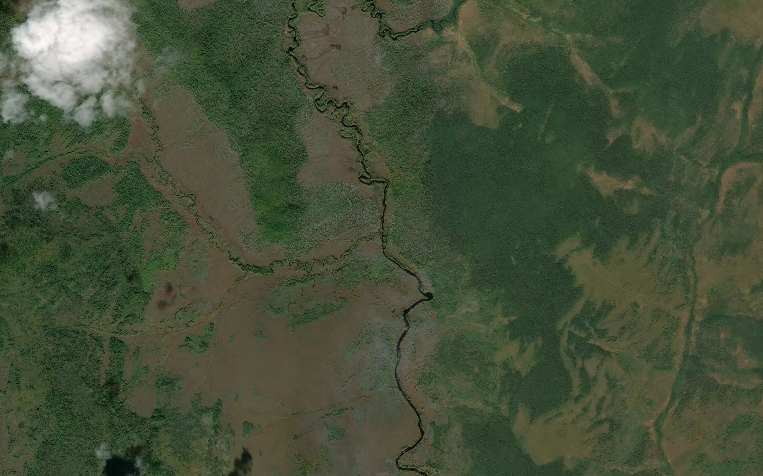 Izvilistyy
