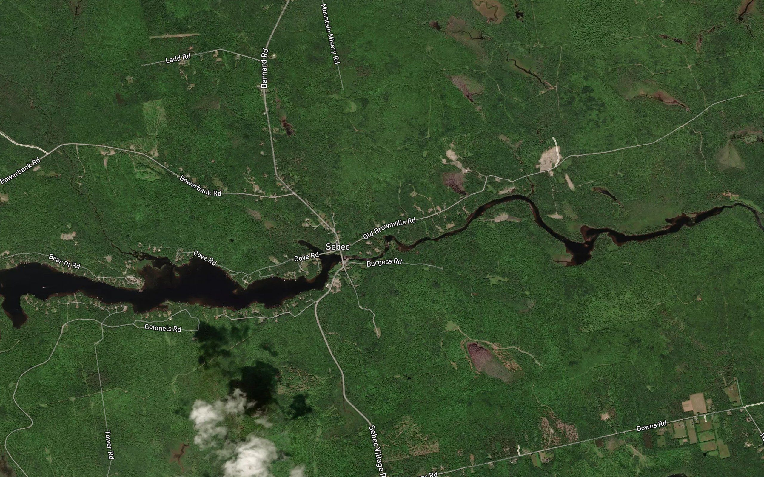 Trout Brook