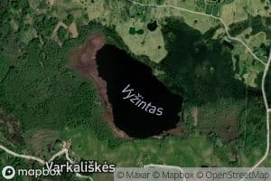 Ezeras Vyzintas