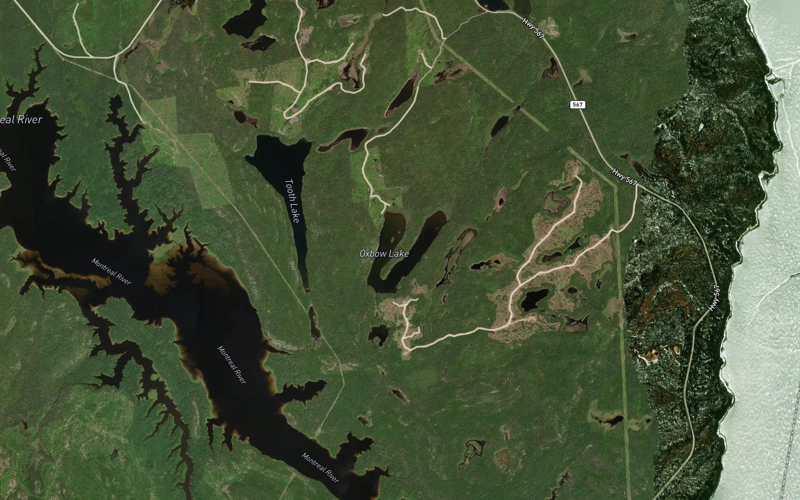 Oxbow Lake