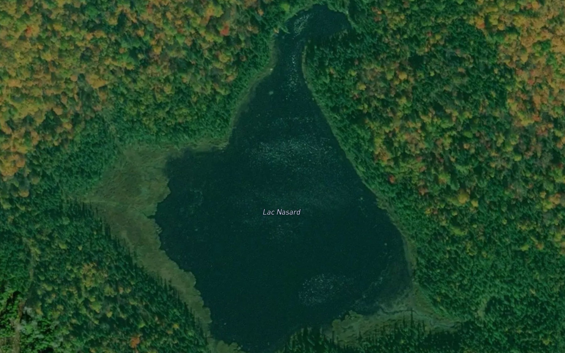 Satellite map of the Lac Nasard