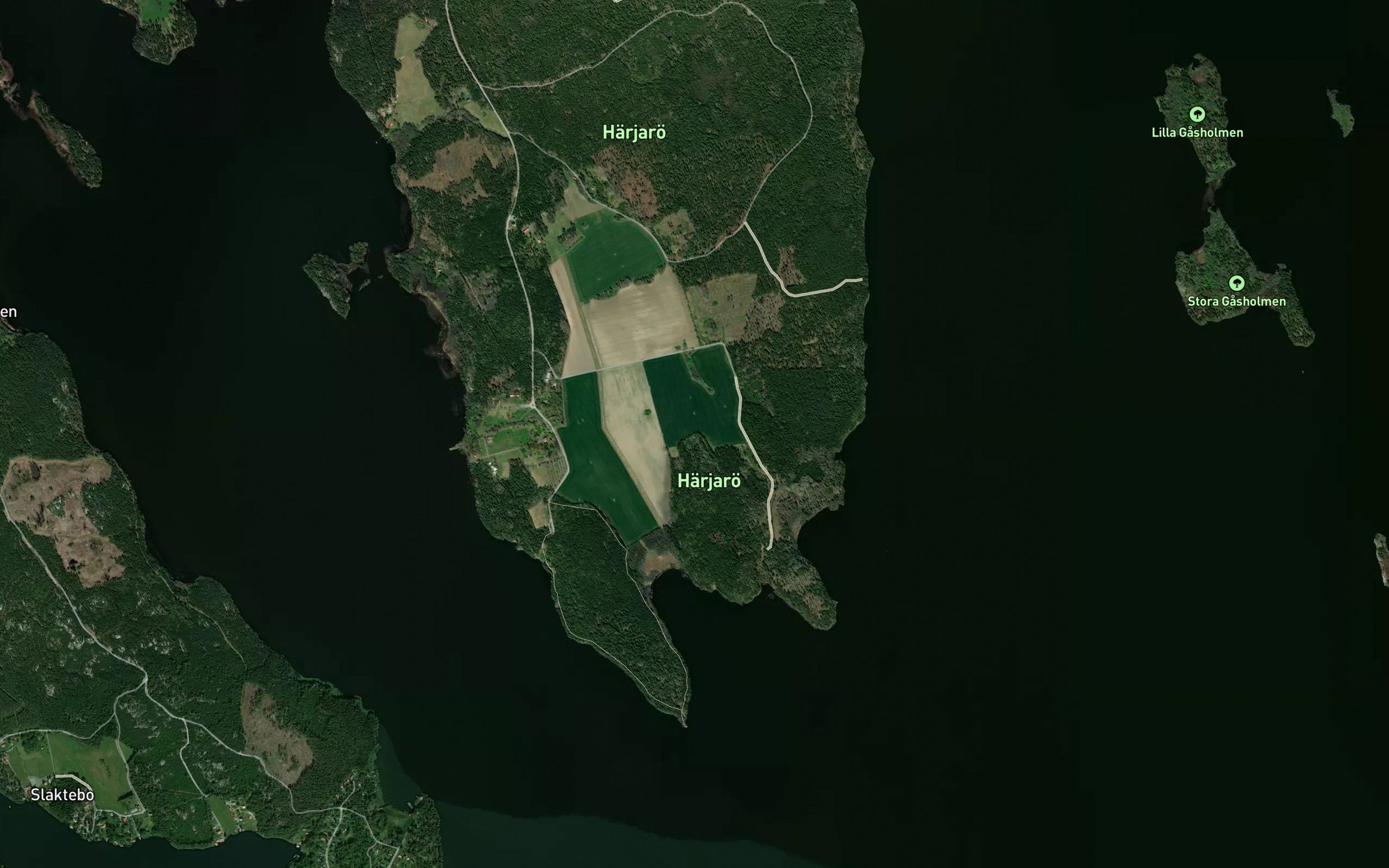 Angsviken