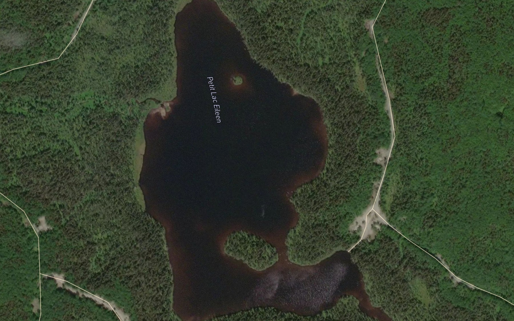 Satellite map of the Petit lac Eileen