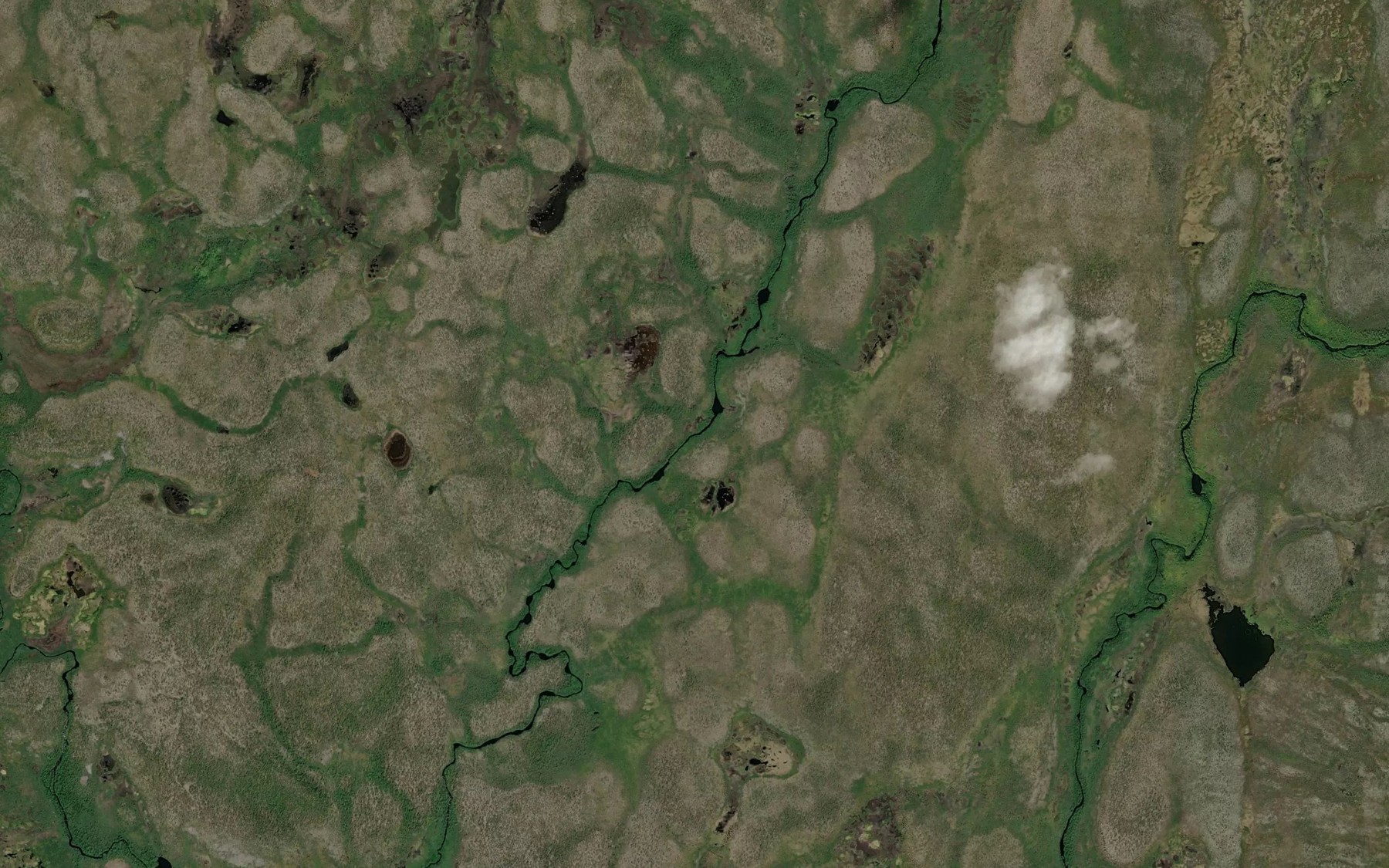 Satellite map of the Balsefielbma