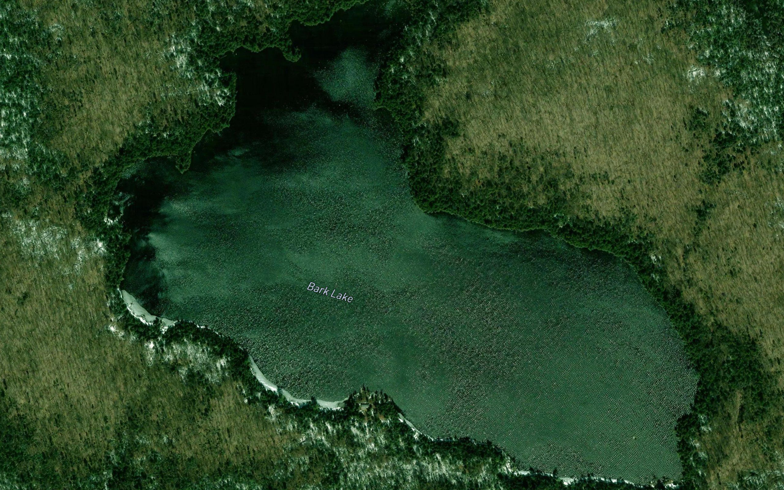 Bark Lake