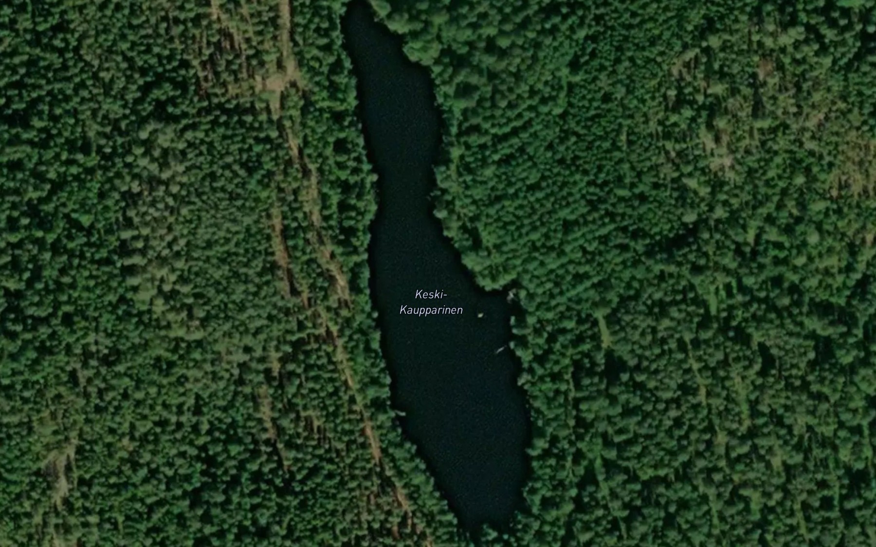 Satellite map of the Keski-Kaupparinen