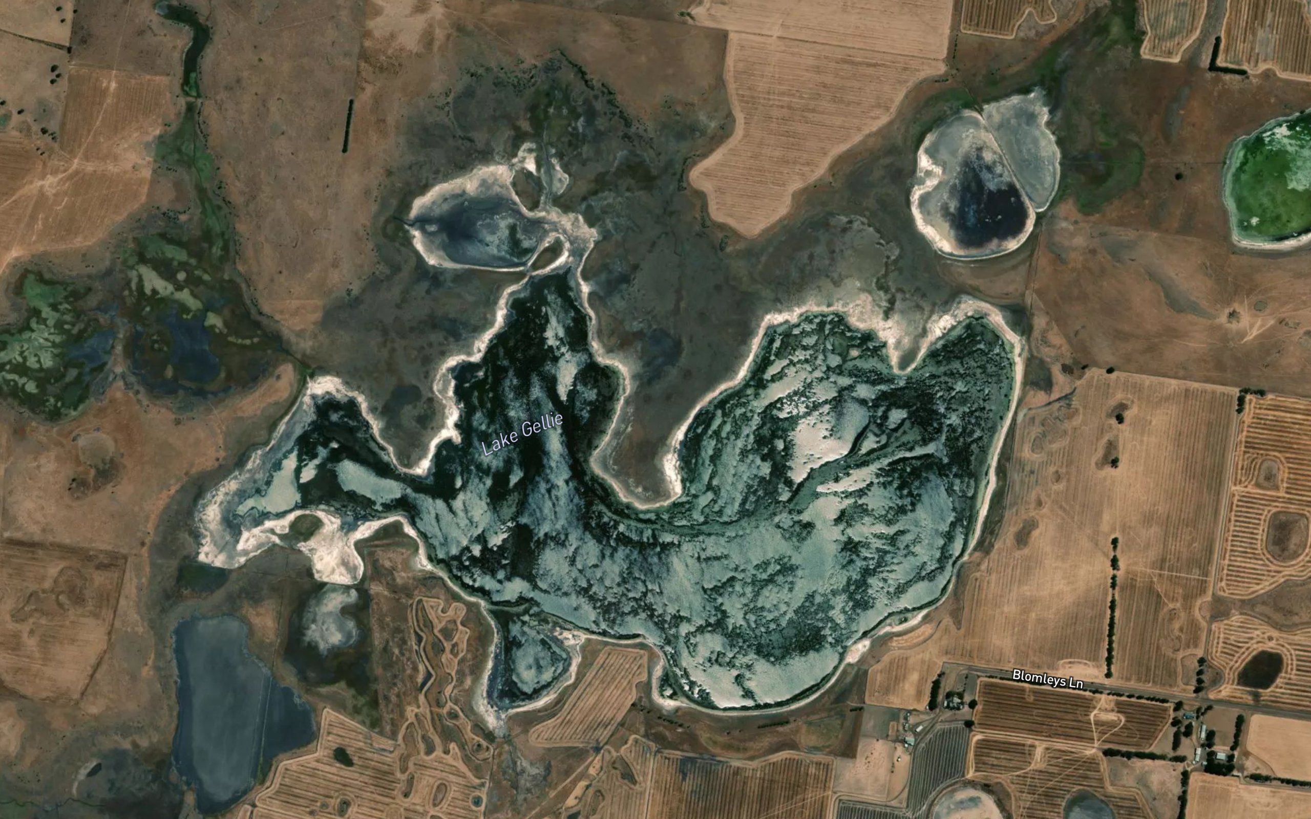 Lake Gellies