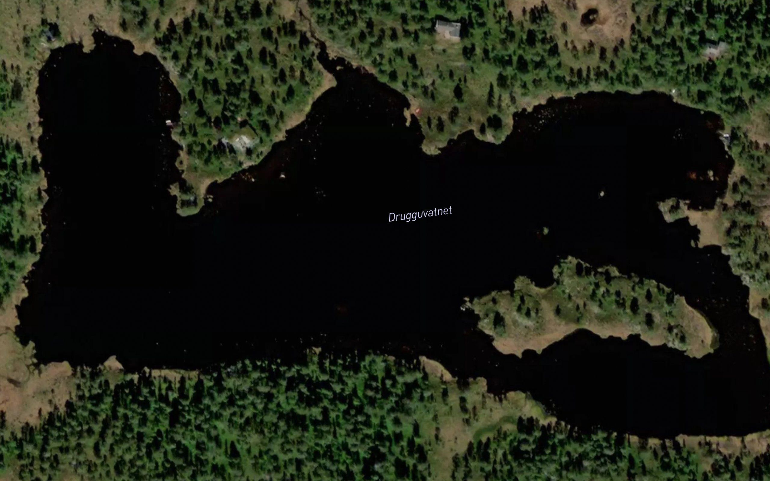 Druguvatnet