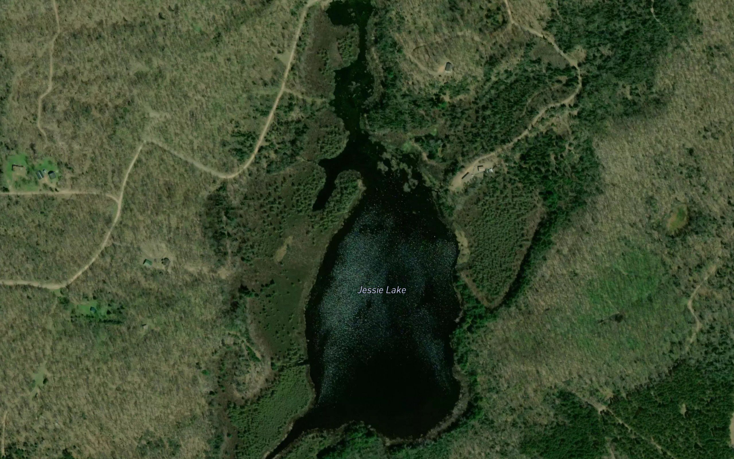 Jessie Lake