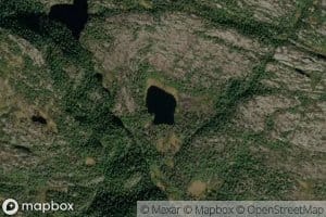 Kjellhomtjorn