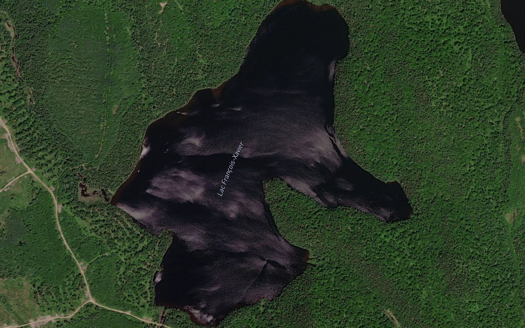 Satellite map of the Lac Francois-Xavier
