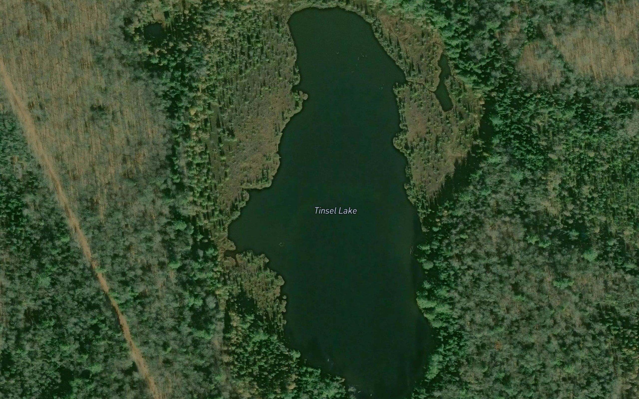 Tinsel Lake