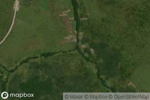 Camatoua