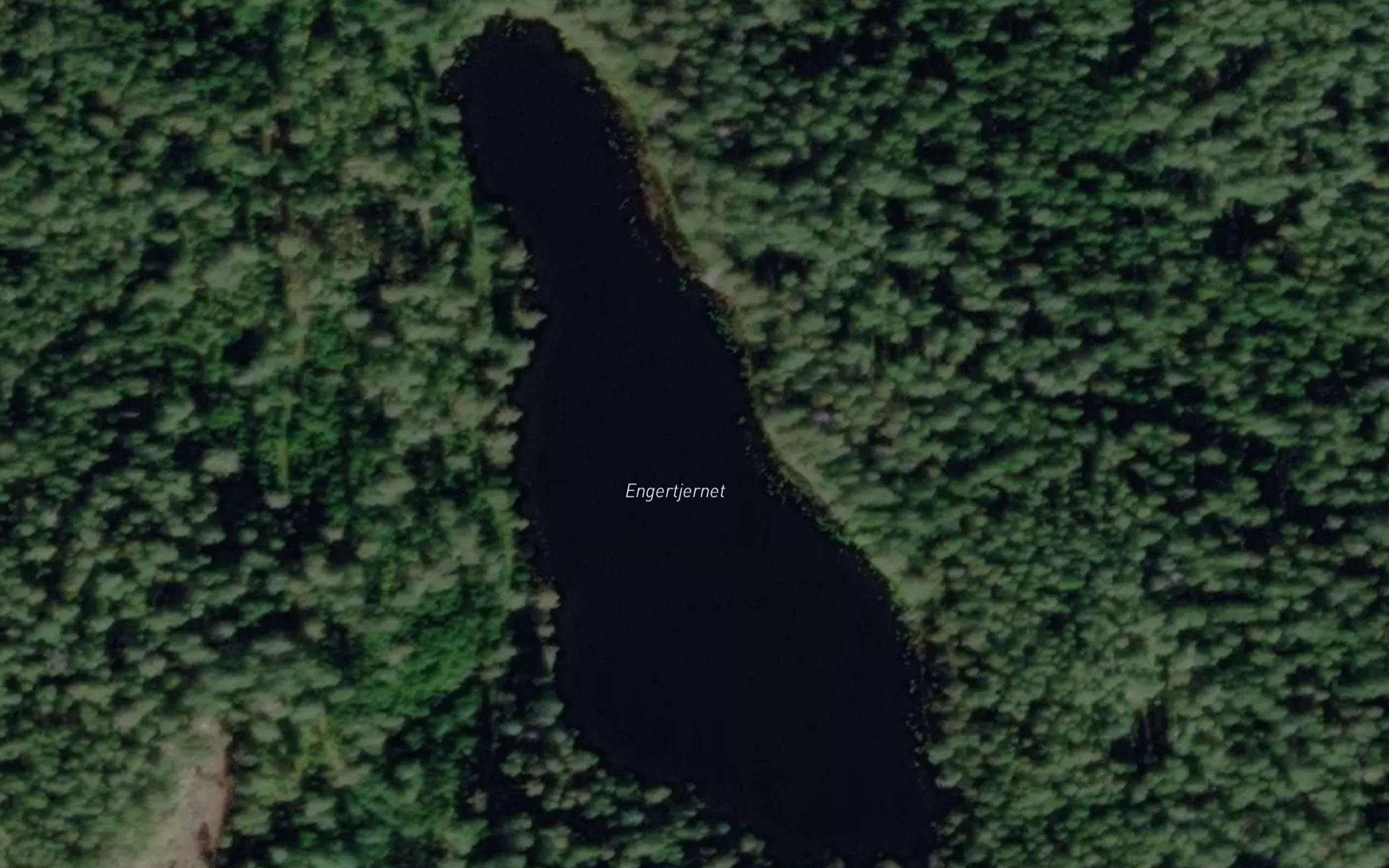 Engertjern