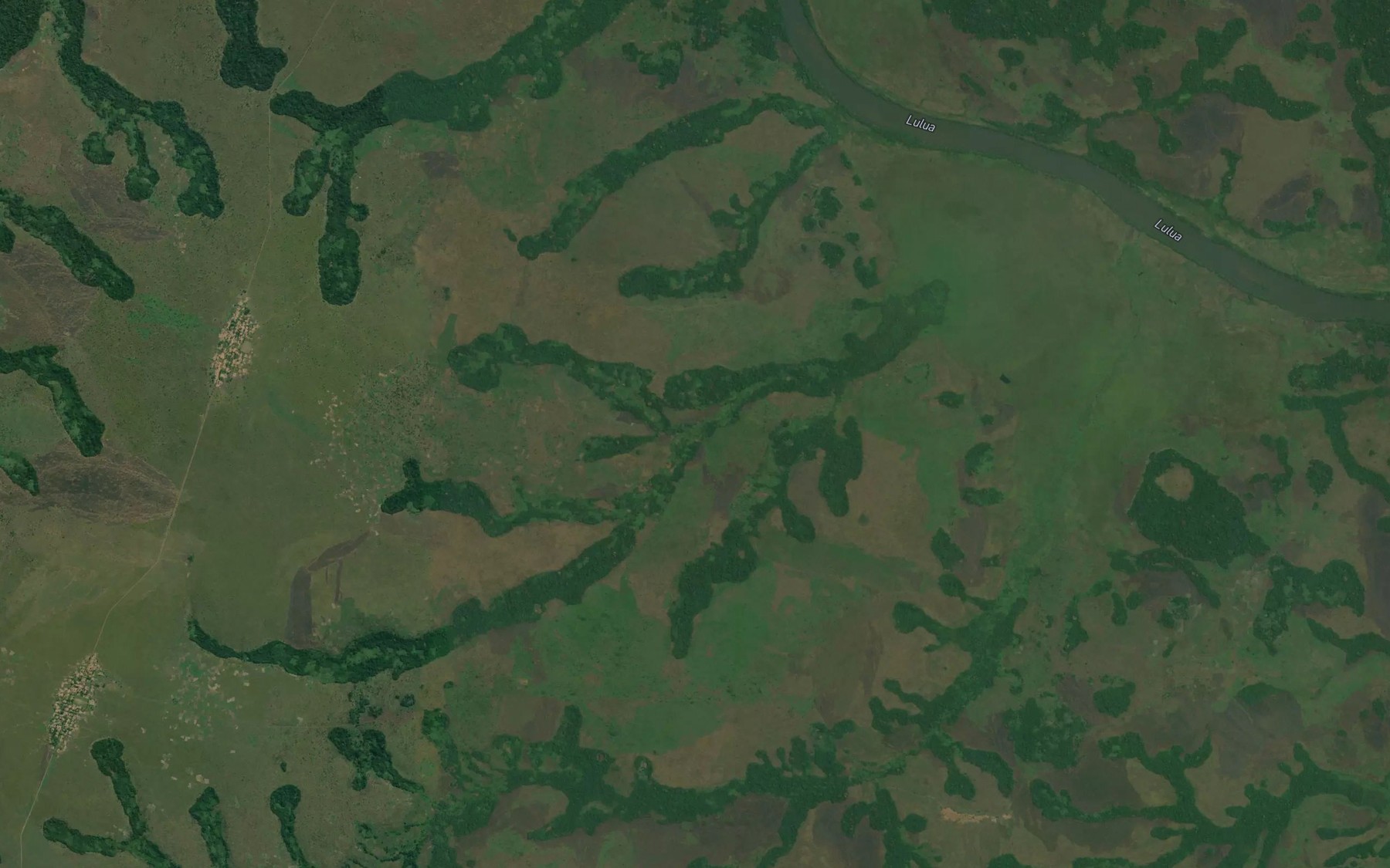 Satellite map of the Musuteja