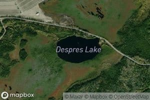 Despres Lake