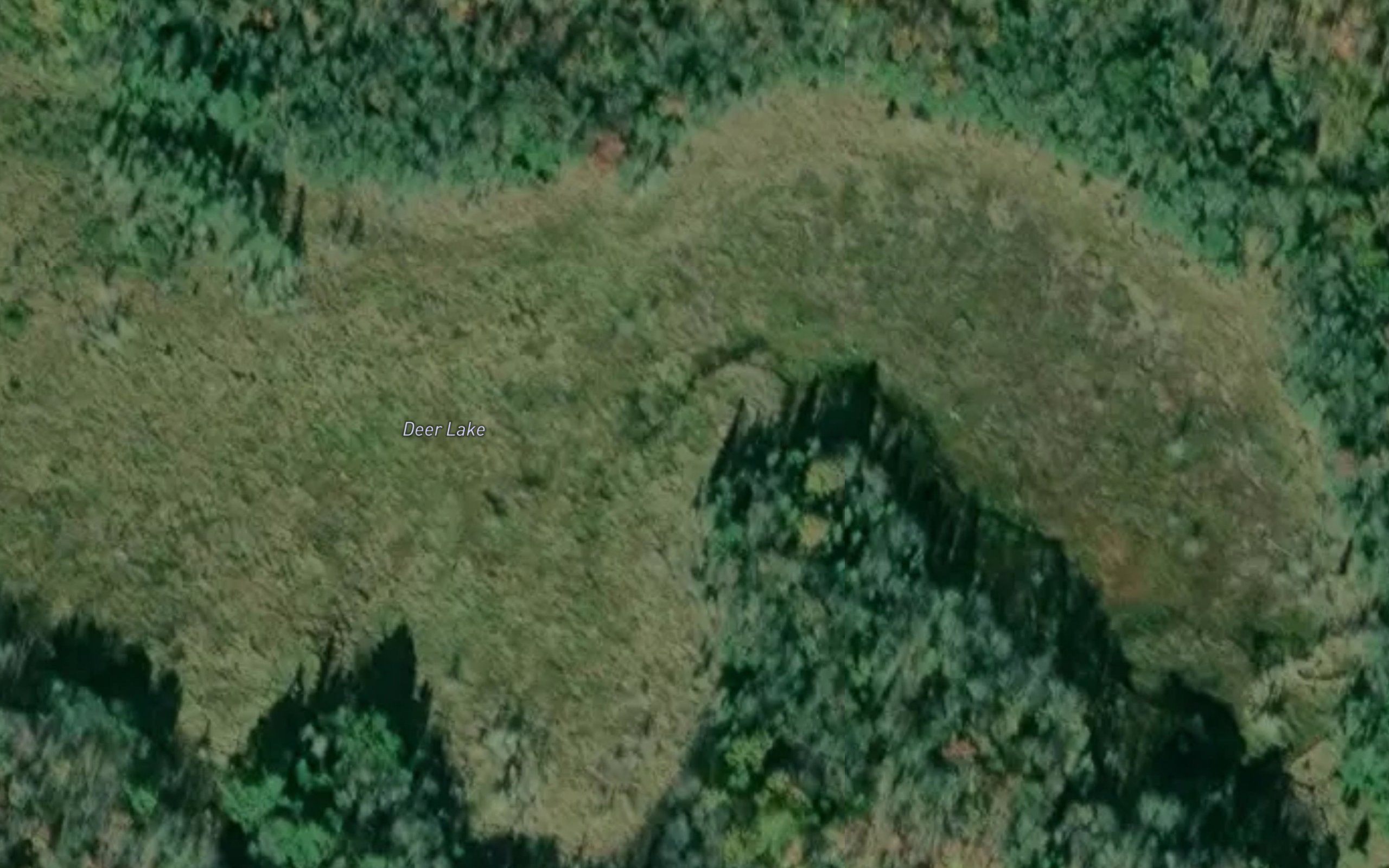 Deer Lake