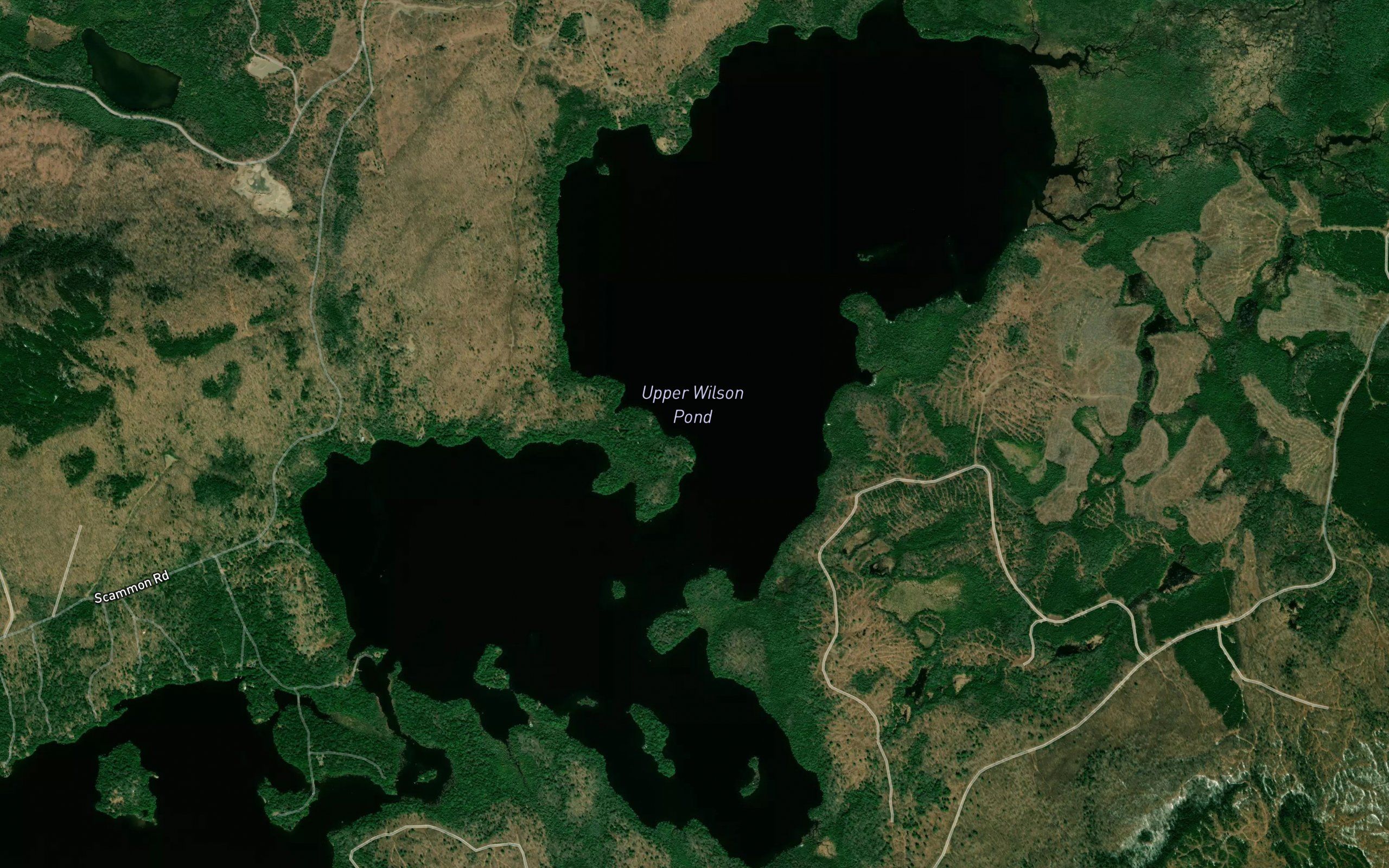 Upper Wilson Pond