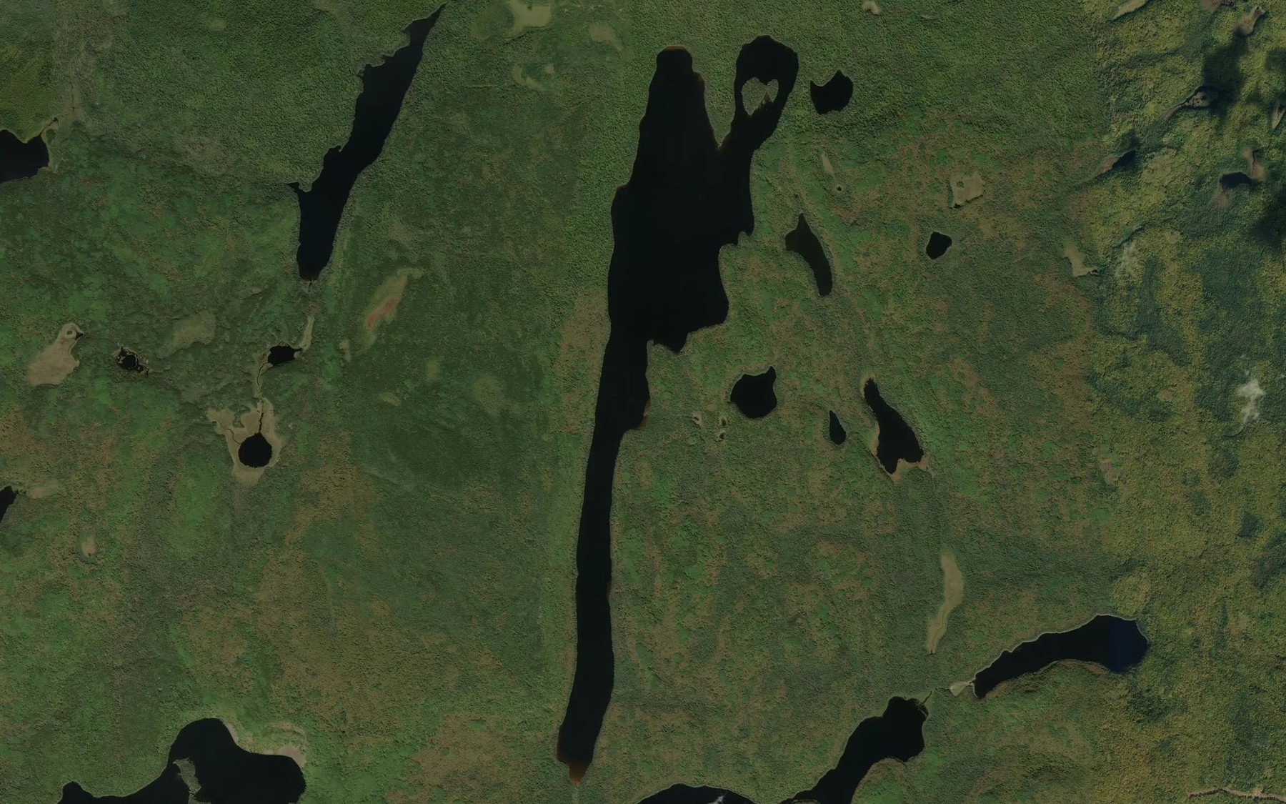Satellite map of the Awl Lake