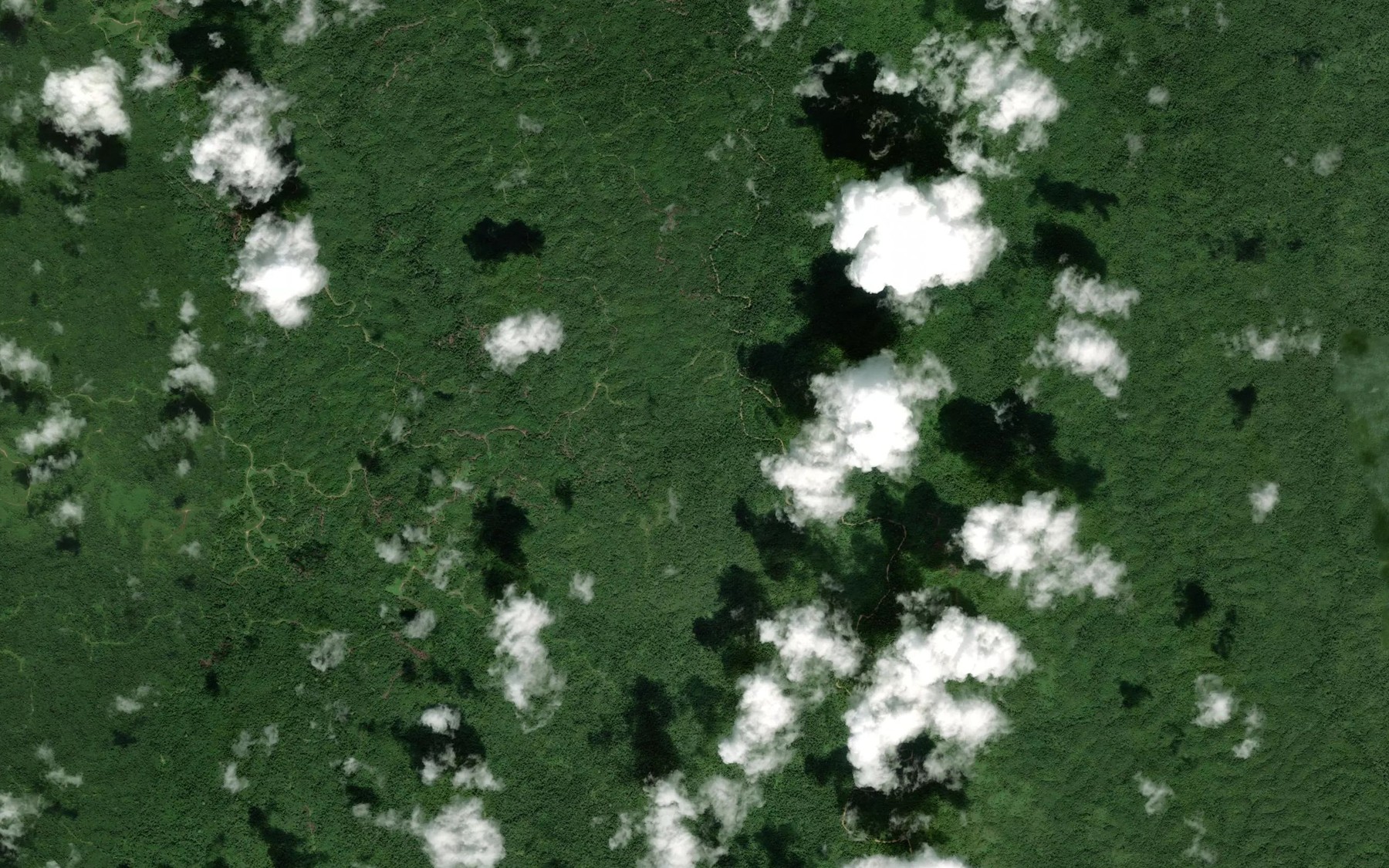 Satellite map of the Sungai Sengatta