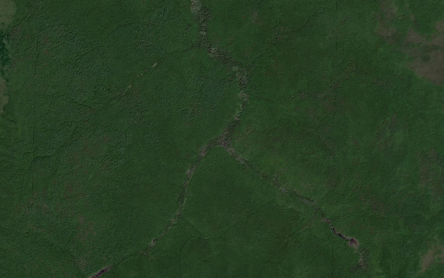 Satellite map of the Bol'shaya Tur'ya