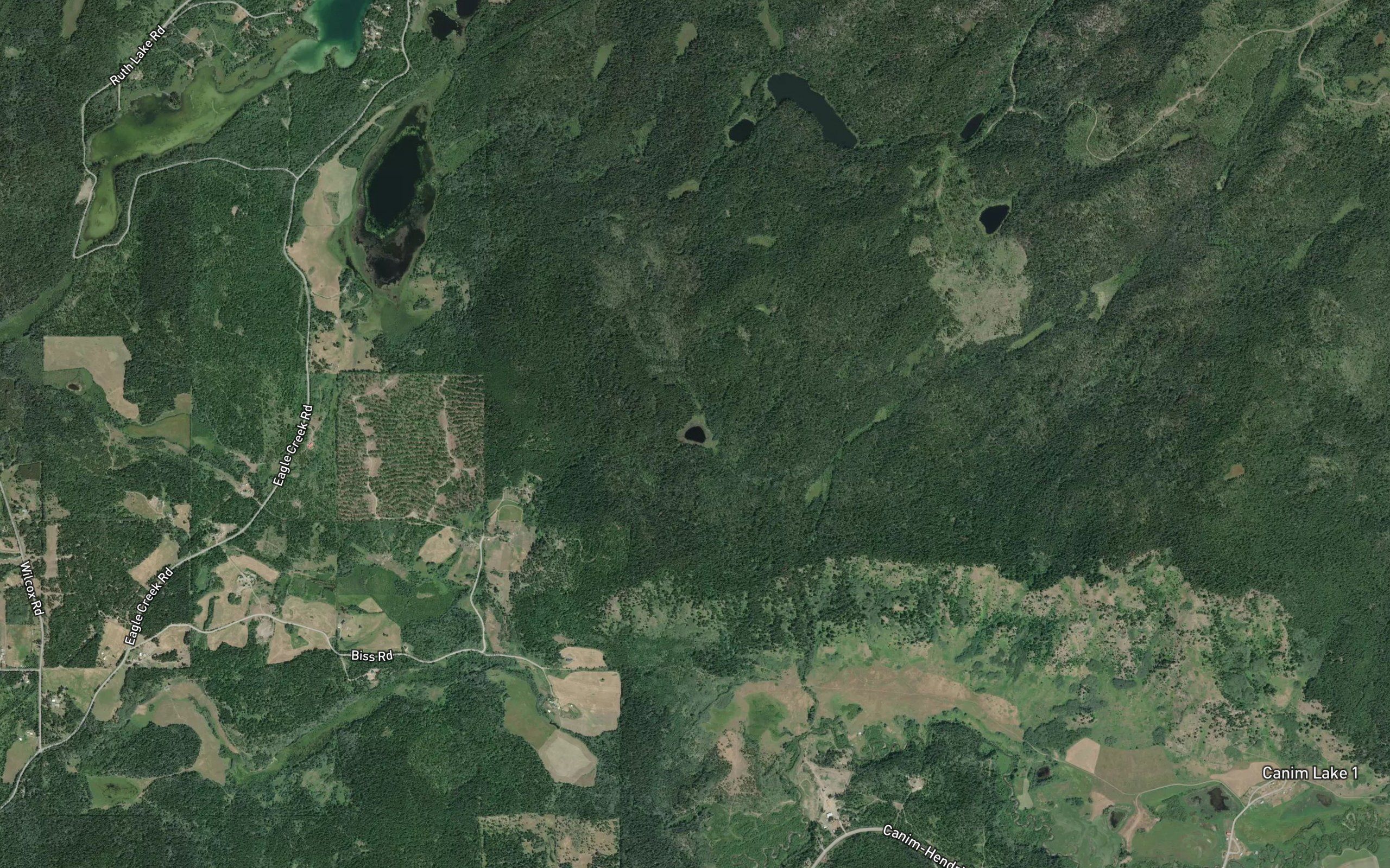 Nettie Lake
